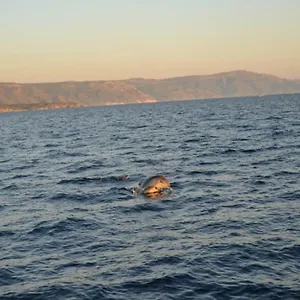 https://casa-pierina.hotelsalgherosardinia.com